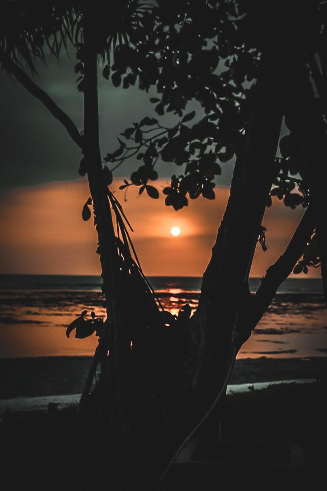 Sumatra Surf Resort Biha المظهر الخارجي الصورة