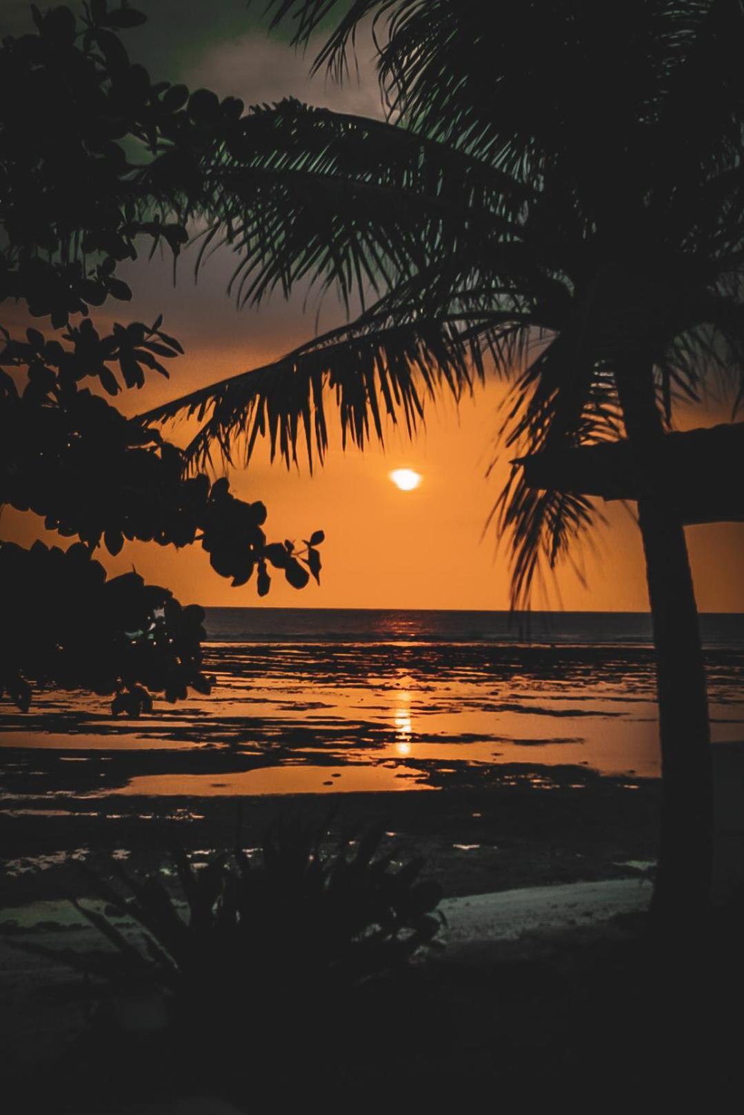 Sumatra Surf Resort Biha المظهر الخارجي الصورة